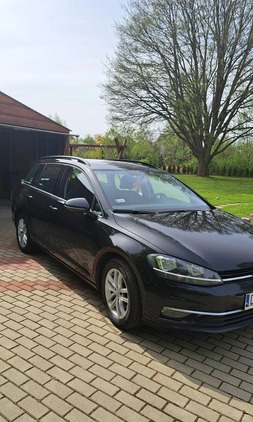 Volkswagen Golf cena 36900 przebieg: 250000, rok produkcji 2017 z Bolesławiec małe 154